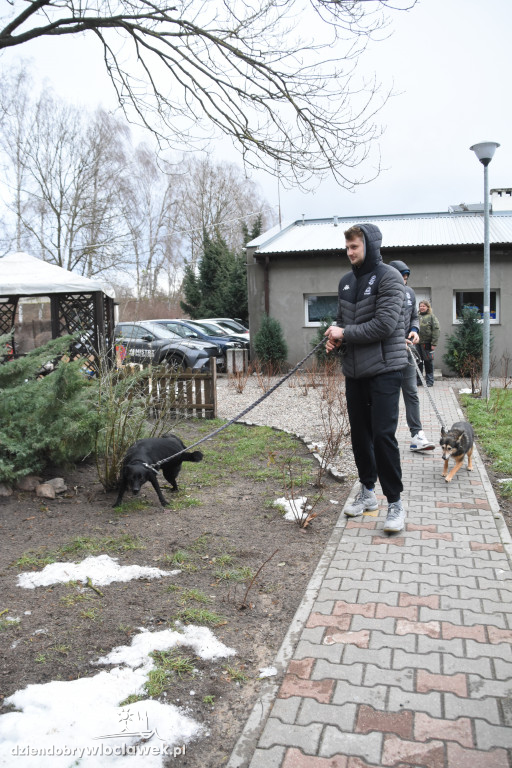 #Karma Wraca - koszykarze w schronisku