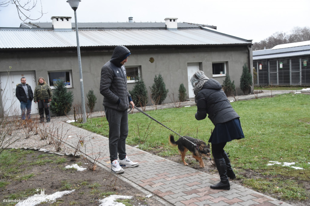 #Karma Wraca - koszykarze w schronisku