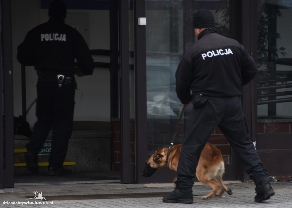 Bomba w budynku urzędu miasta?