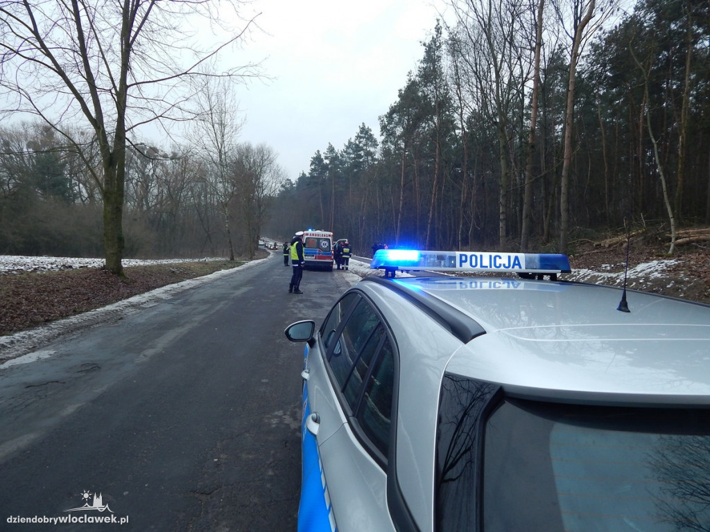 Podczas wycinki został uderzony konarem!