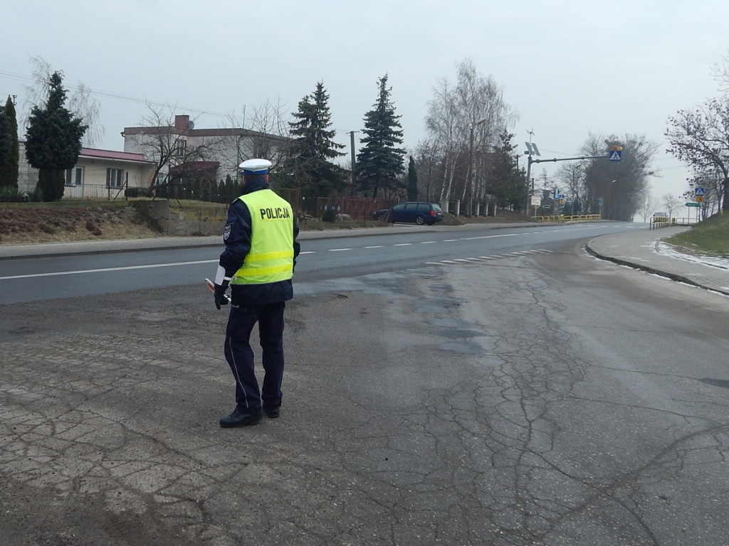 Działania policjantów na drodze krajowej