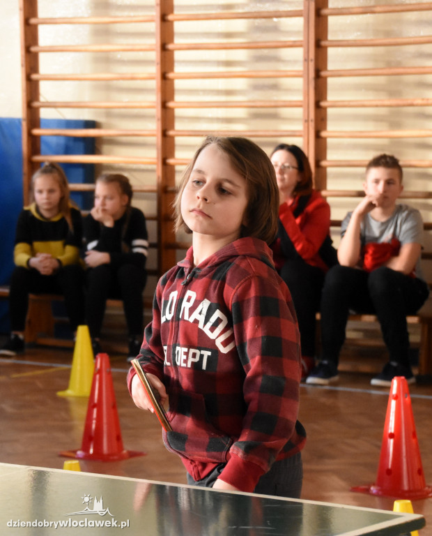 Camp tenisa stołowego w ZSA