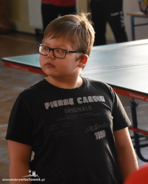 Camp tenisa stołowego w ZSA