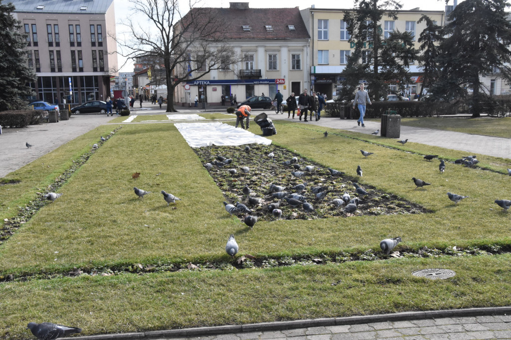 Wiosna na placu Wolności
