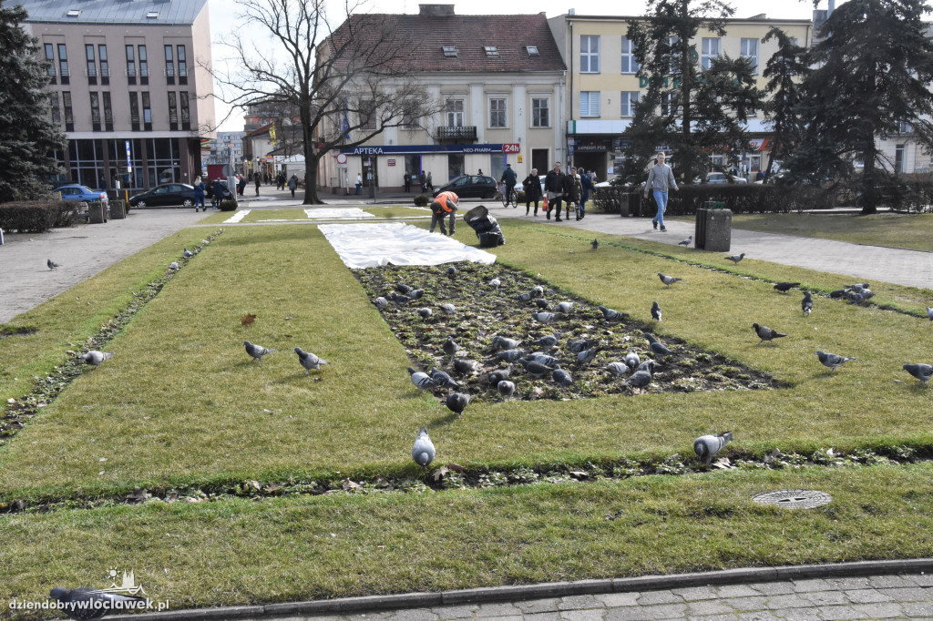 Wiosna na placu Wolności