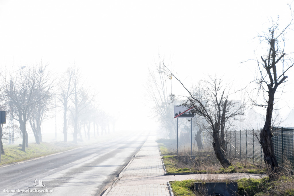 Masarnia kompletnie spłonęła