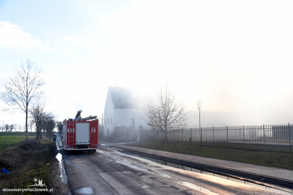 Masarnia kompletnie spłonęła
