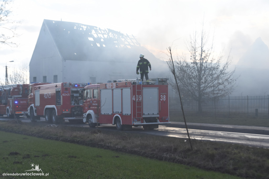 Masarnia kompletnie spłonęła