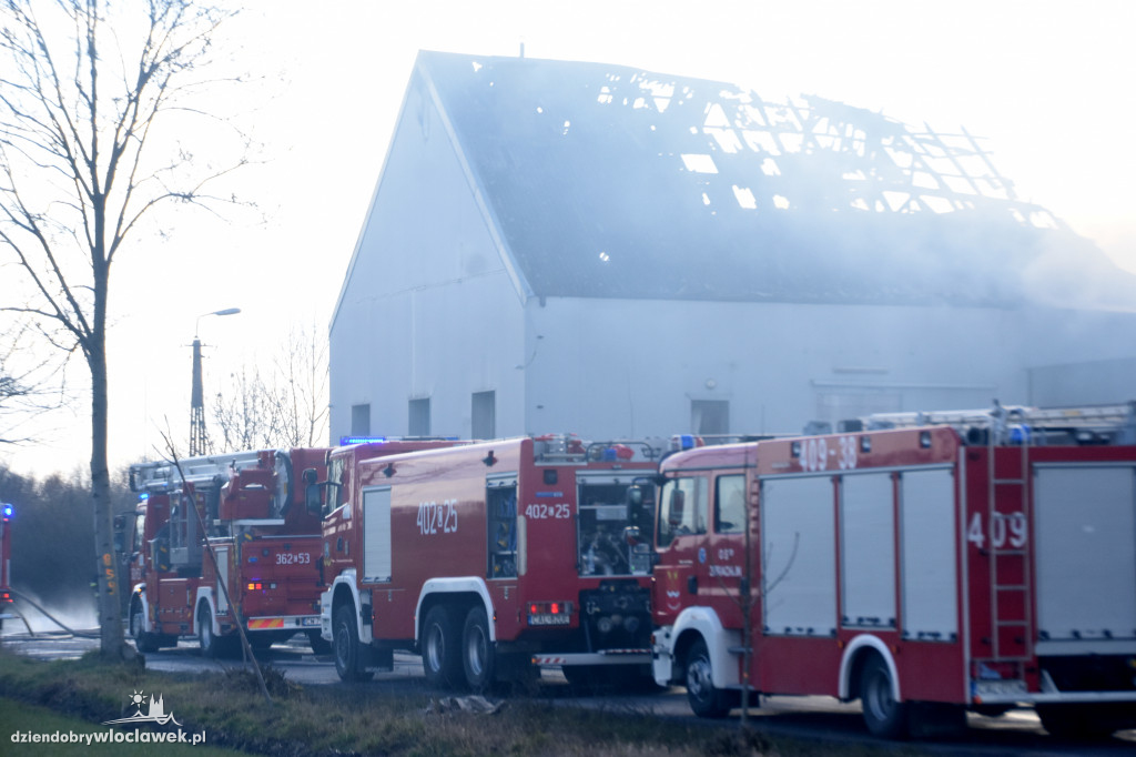 Masarnia kompletnie spłonęła