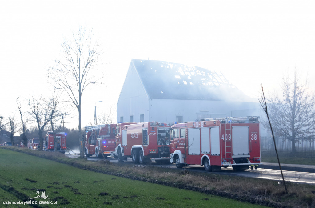 Masarnia kompletnie spłonęła