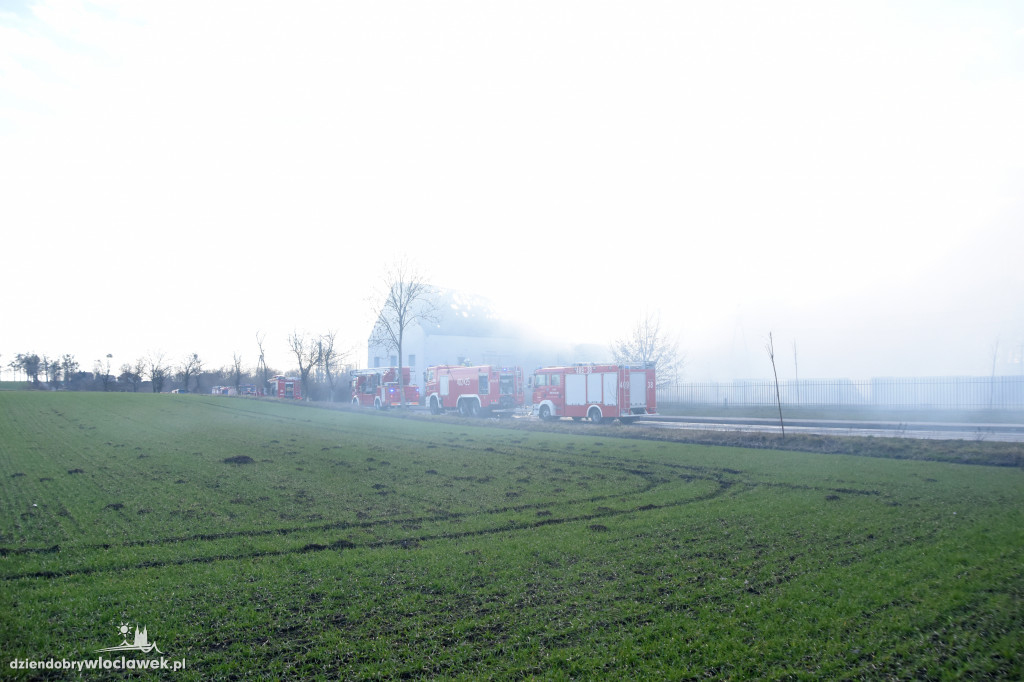Masarnia kompletnie spłonęła
