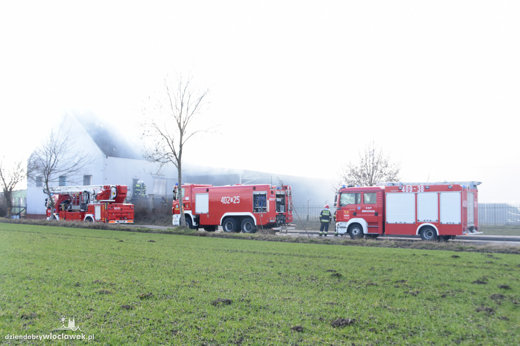 Masarnia kompletnie spłonęła