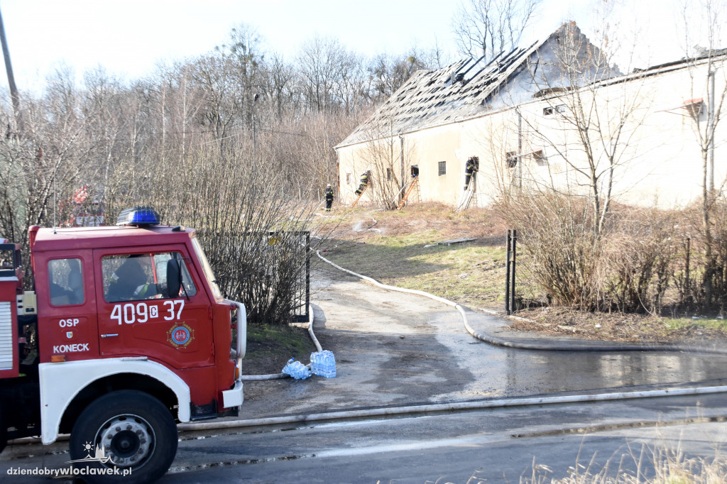 Masarnia kompletnie spłonęła