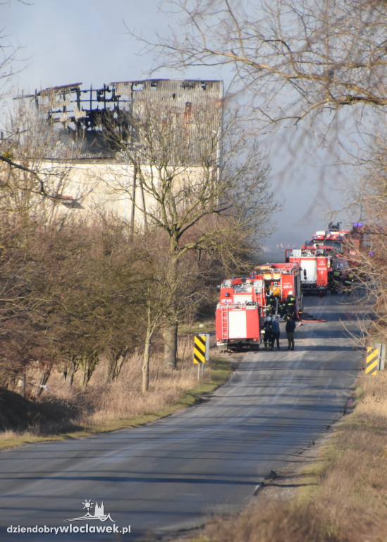 Masarnia kompletnie spłonęła