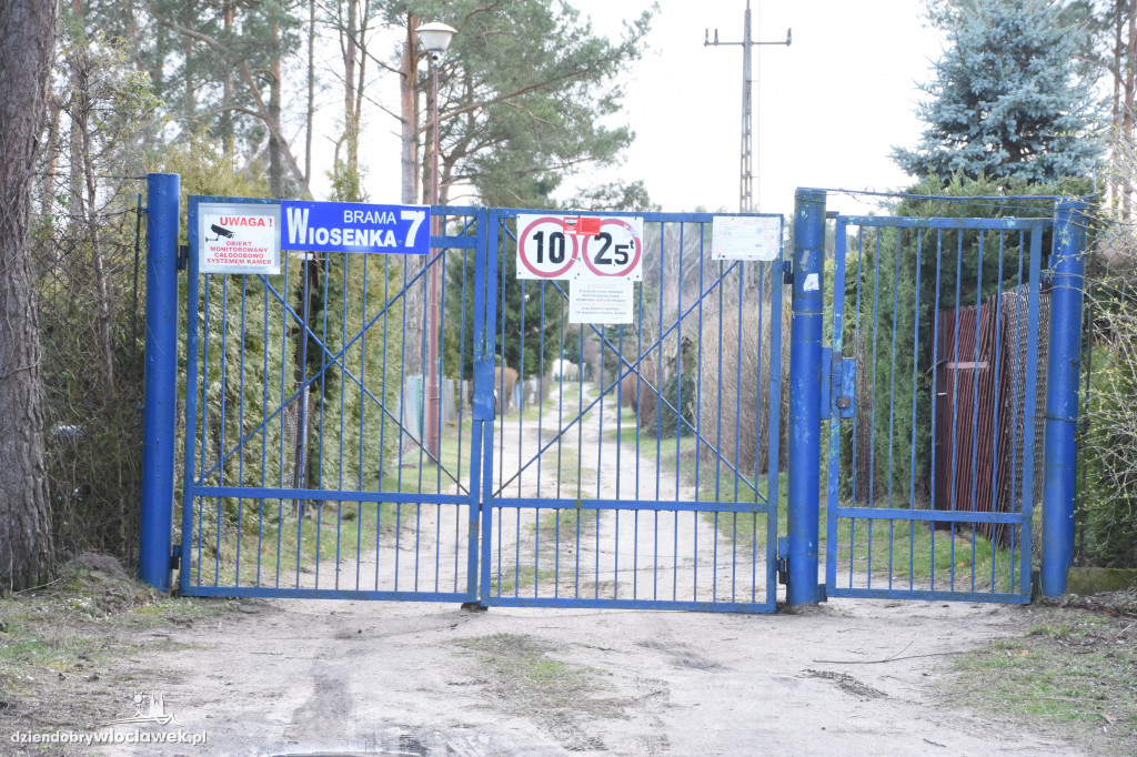 Las na Rybnicy tonie w śmieciach