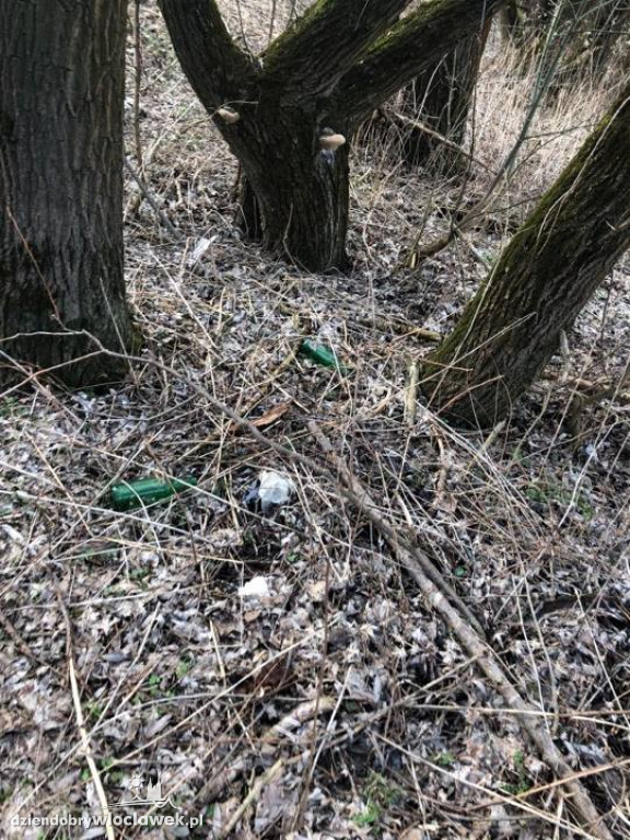 Włocławek zasypany śmieciami