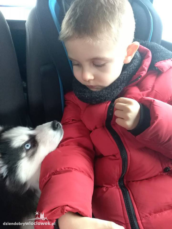 Internauci pokazali swoje szczęście!