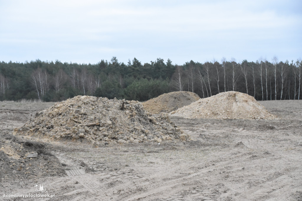 Ludzkie czaszki na polu pod Włocławkiem