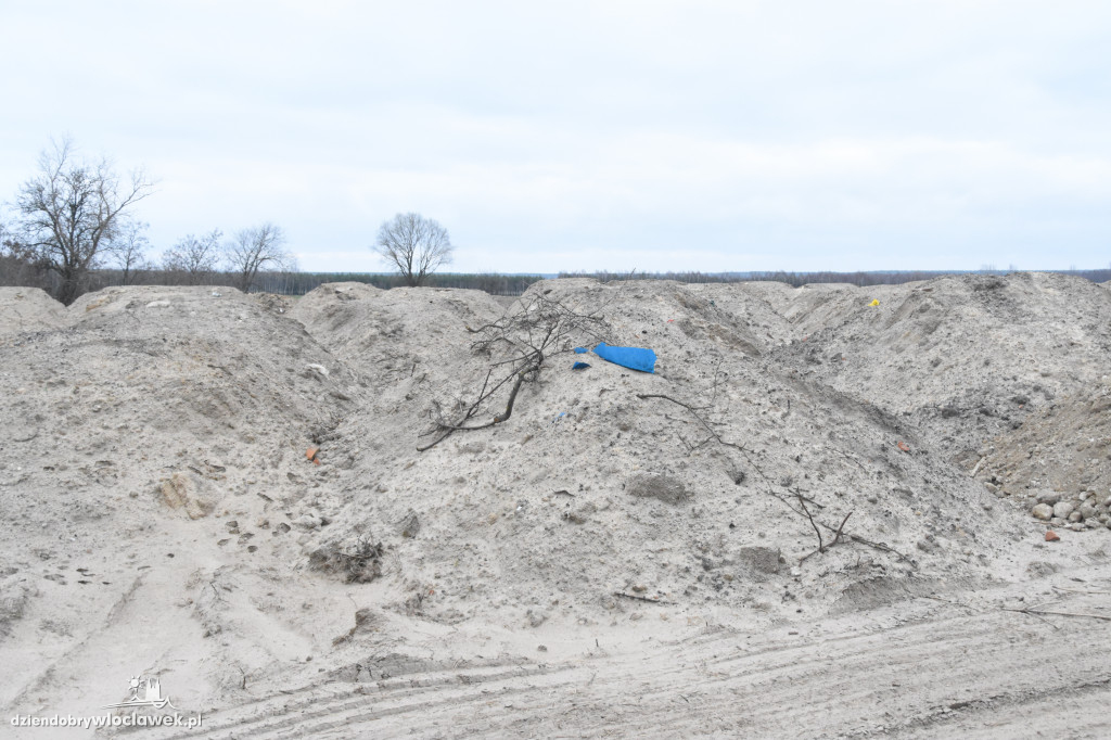 Ludzkie czaszki na polu pod Włocławkiem