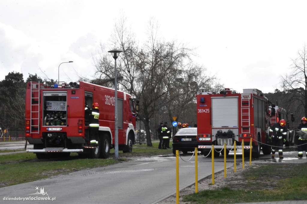 Samobójca przy Kazimierza Wielkiego?
