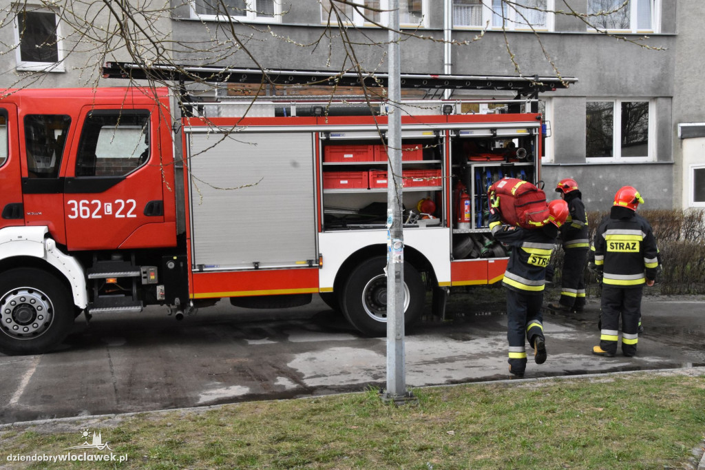 Samobójca przy Kazimierza Wielkiego?