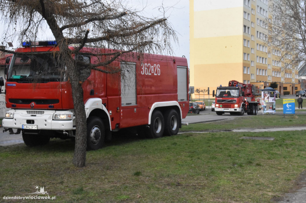 Samobójca przy Kazimierza Wielkiego?