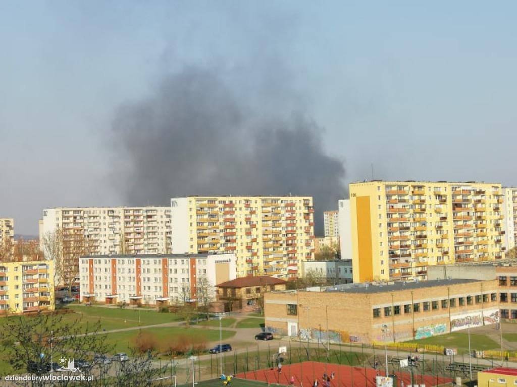Pożar na działce za marketem Tesco
