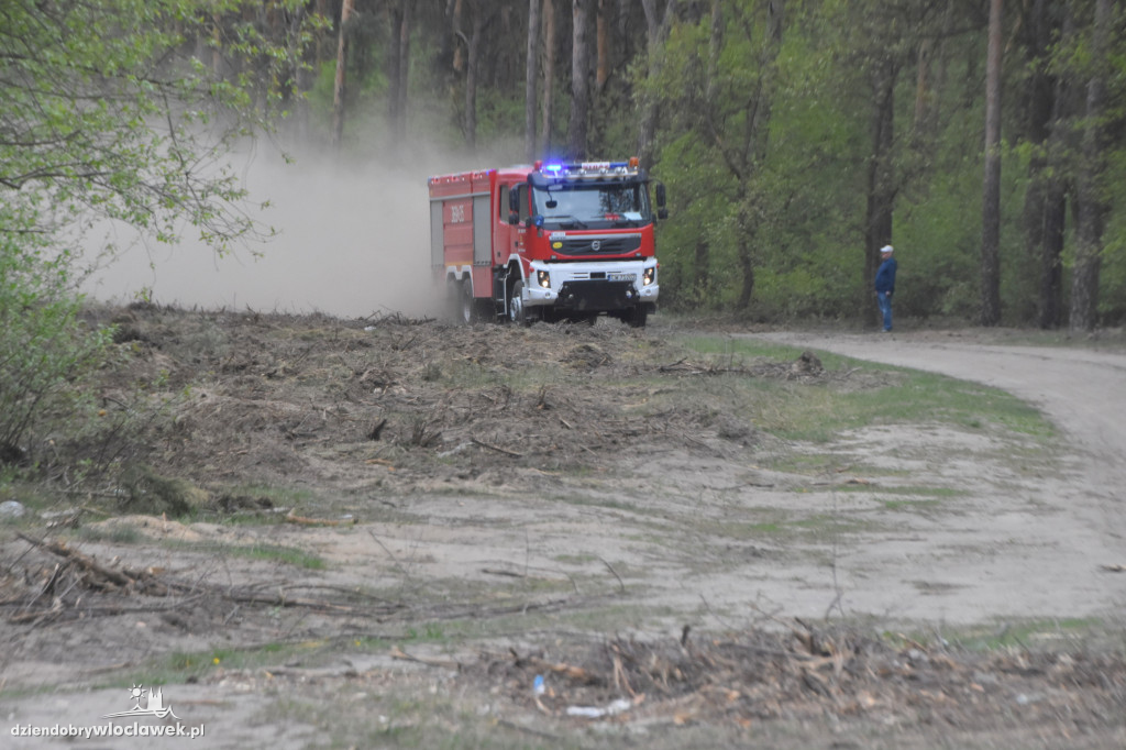 Pożar w leśnictwie Poraza