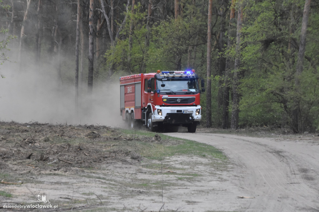 Pożar w leśnictwie Poraza