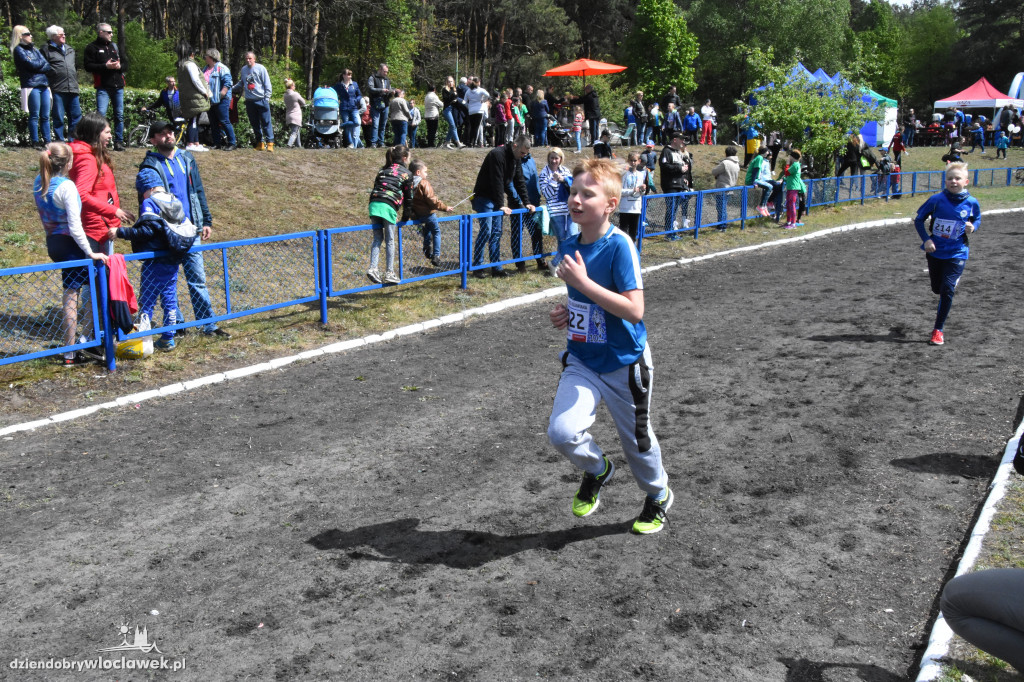 37. Bieg Kujawiaka