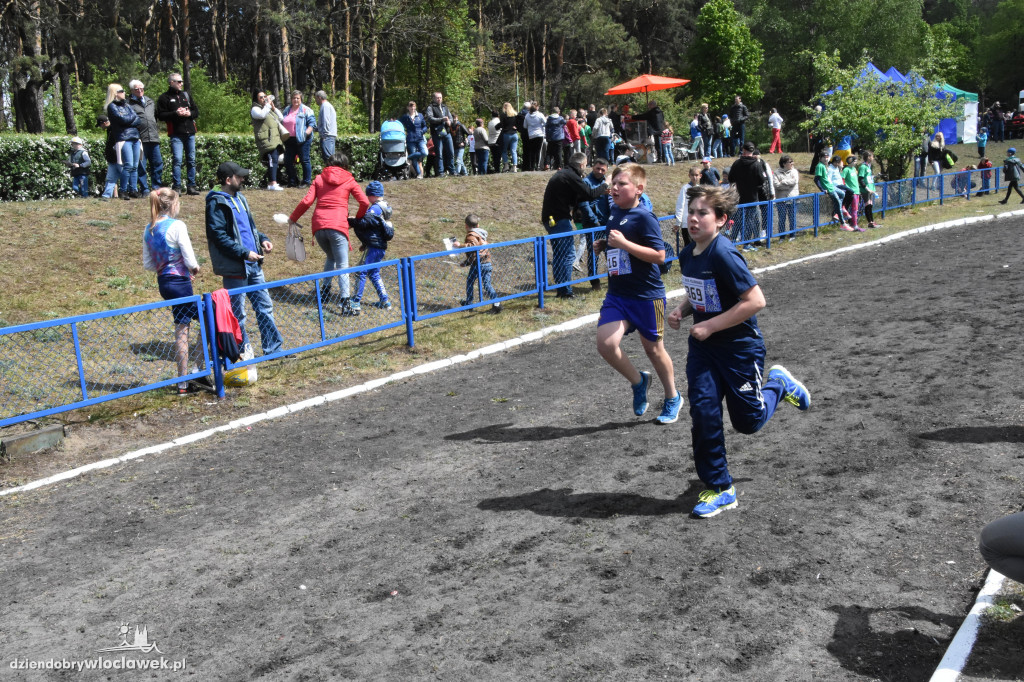 37. Bieg Kujawiaka