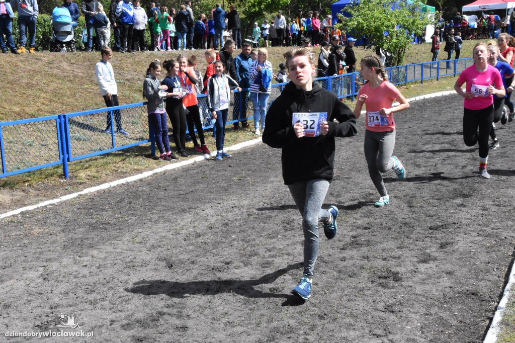 37. Bieg Kujawiaka