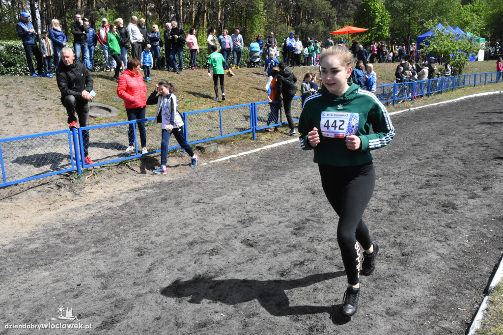 37. Bieg Kujawiaka