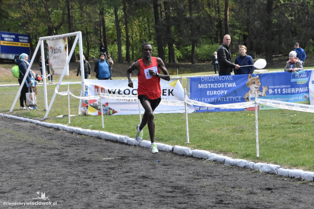 37. Bieg Kujawiaka