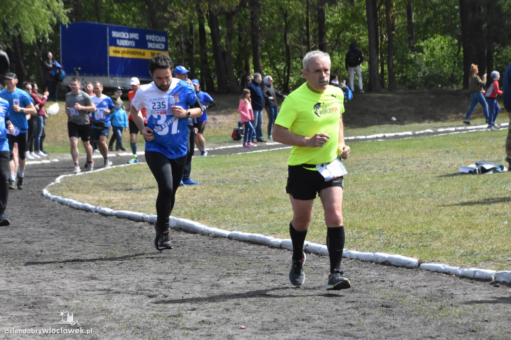 37. Bieg Kujawiaka