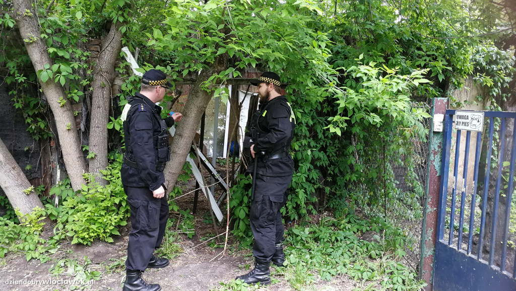 Sarna w mieście. Pomógł eko-patrol