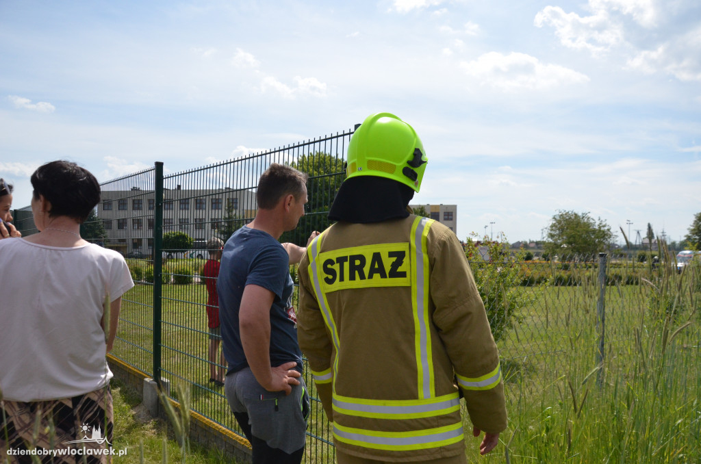 Strzelanina w szkole w Brześciu Kuj.