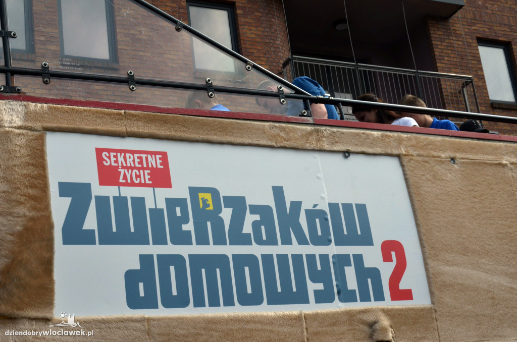 Dzień Dziecka z sekretami zwierzaków