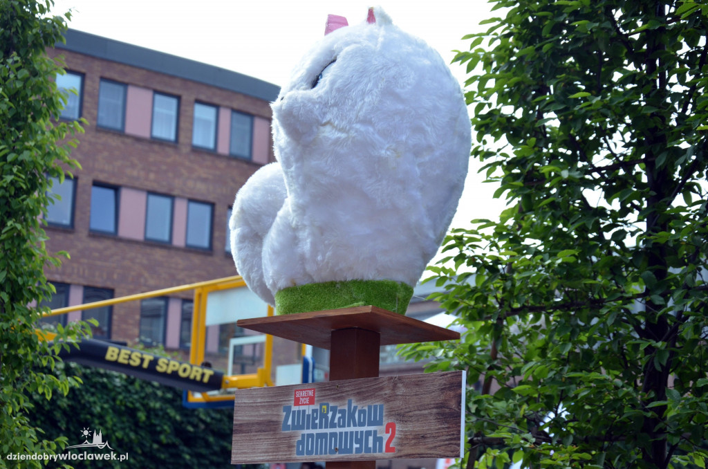 Dzień Dziecka z sekretami zwierzaków