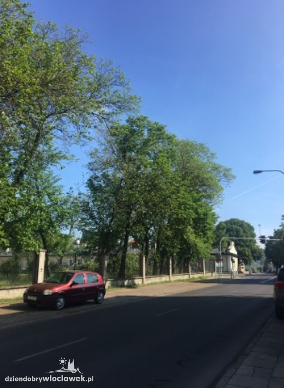 Z terenu MOPR przy Ogniowej zniknęły drzewa