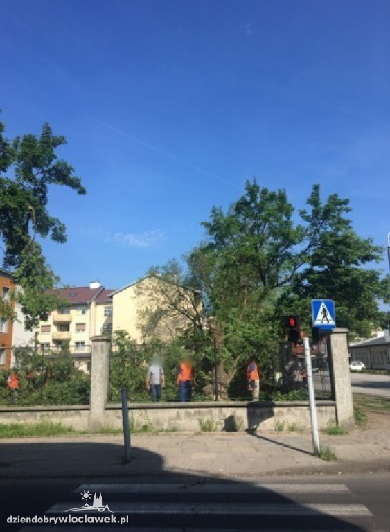 Z terenu MOPR przy Ogniowej zniknęły drzewa