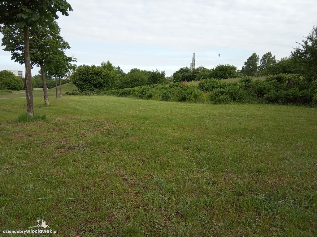Park Łokietka znów bardzo zarośnięty