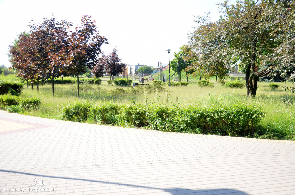 Park Łokietka znów bardzo zarośnięty