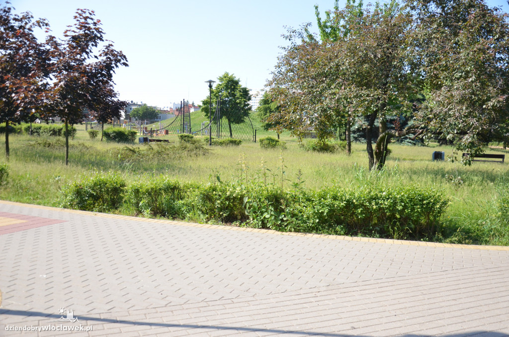 Park Łokietka znów bardzo zarośnięty