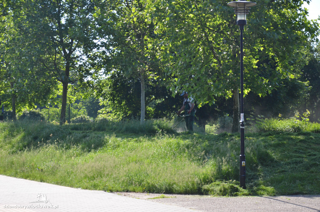 Park Łokietka znów bardzo zarośnięty