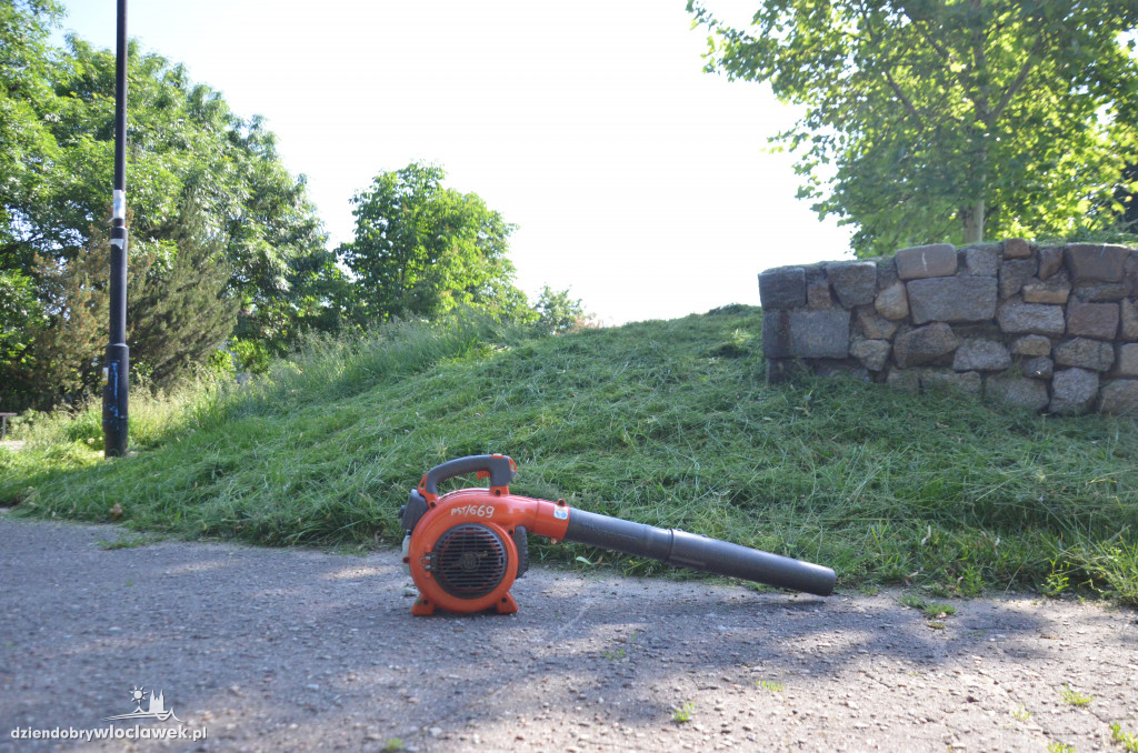 Park Łokietka znów bardzo zarośnięty