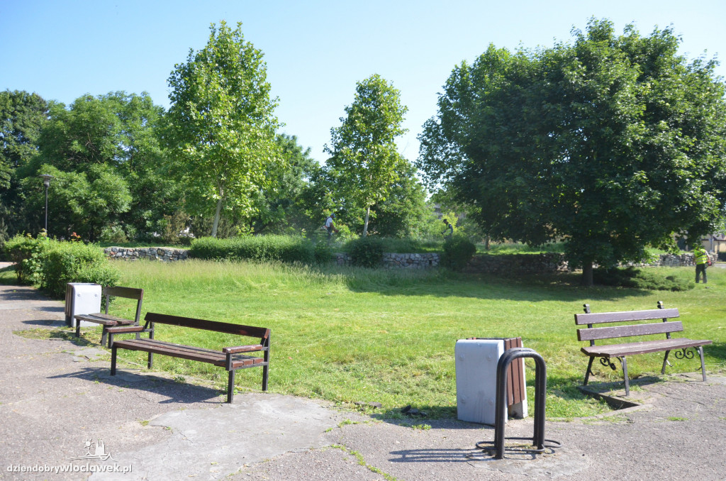 Park Łokietka znów bardzo zarośnięty