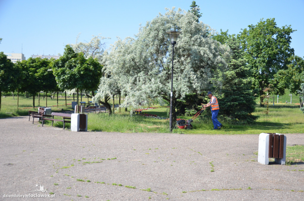 Park Łokietka znów bardzo zarośnięty