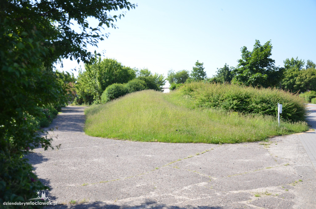 Park Łokietka znów bardzo zarośnięty