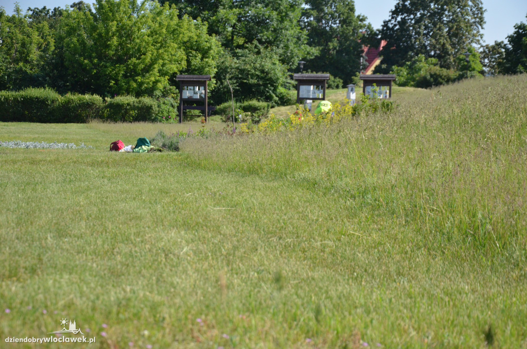 Park Łokietka znów bardzo zarośnięty